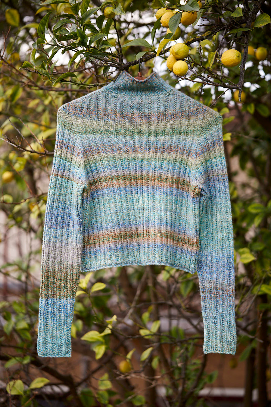 Elm